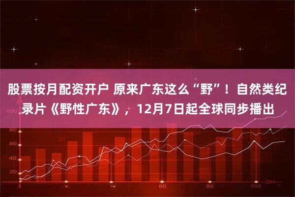 股票按月配资开户 原来广东这么“野”！自然类纪录片《野性广东》，12月7日起全球同步播出