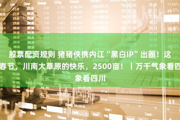 股票配资规则 猪猪侠携内江“黑白IP”出圈！这个春节，川南大草原的快乐，2500亩！丨万千气象看四川