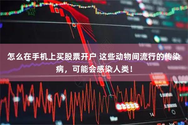 怎么在手机上买股票开户 这些动物间流行的传染病，可能会感染人类！